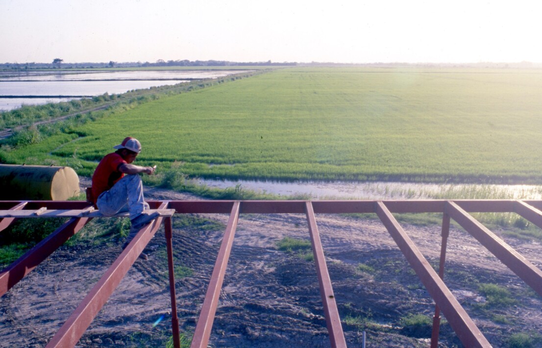 Soldando los perfiles del corredor frente a las siembras de arroz...