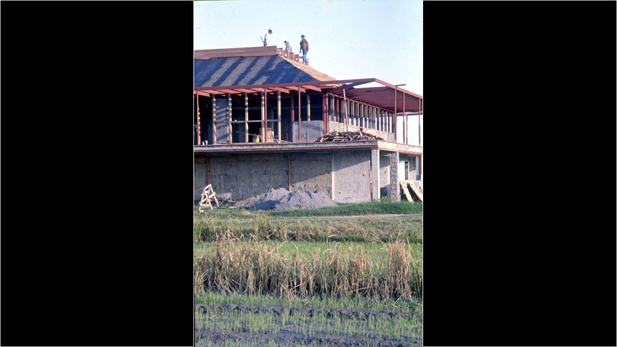 Se va formando el techo en madera (algarrobo).