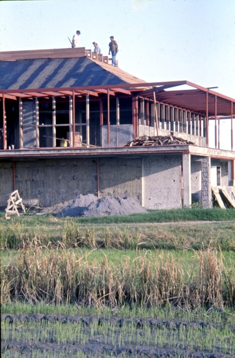Se va formando el techo en madera (algarrobo).
